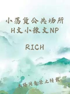 小荡货公共场所H文小辣文NP