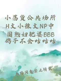 小荡货公共场所H文小辣文NP中国熟妇肥婆BBB