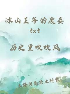 冰山王爷的废妾txt