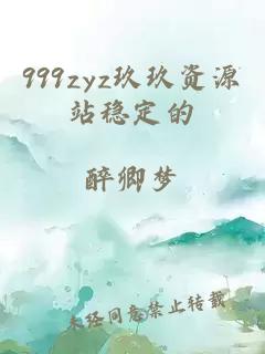 999zyz玖玖资源站稳定的