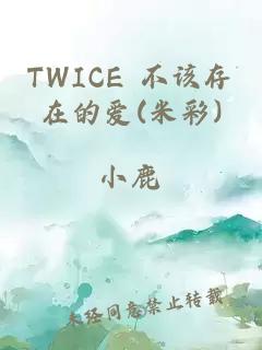 TWICE 不该存在的爱(米彩)