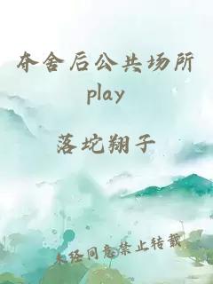 夺舍后公共场所play