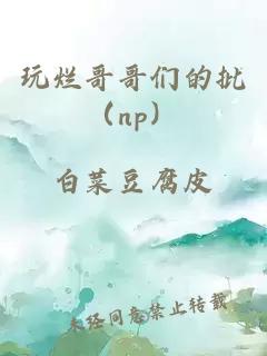 玩烂哥哥们的批（np）