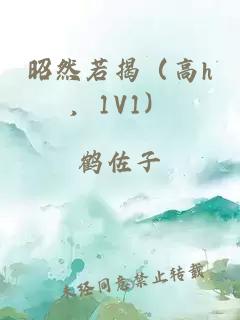 昭然若揭（高h，1V1）