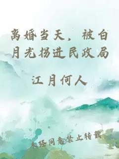 离婚当天，被白月光拐进民政局