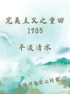 完美主义之重回1985