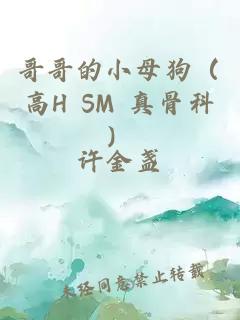 哥哥的小母狗（高H SM 真骨科）