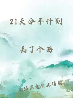 21天分手计划