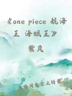 《one piece 航海王 海贼王》