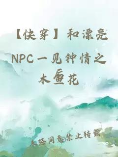 【快穿】和漂亮NPC一见钟情之后