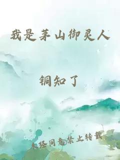 我是茅山御灵人