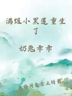 满级小黑莲重生了